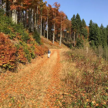 Daire Neuastenberg Winterberg