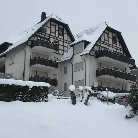 Neuastenberg Daire Winterberg